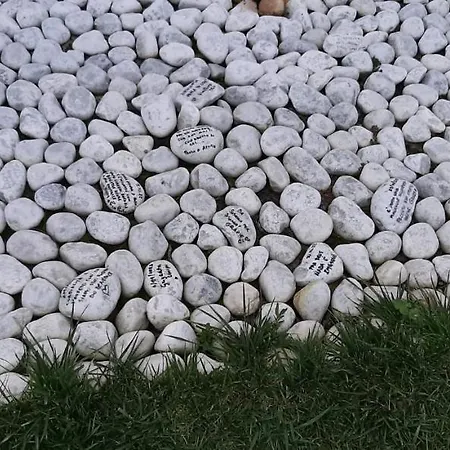 Essenziale Bed & Breakfast Castell'Anselmo