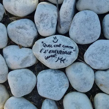 Bed & Breakfast Essenziale Castell'Anselmo