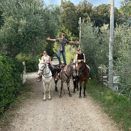 Essenziale Bed & Breakfast 3*