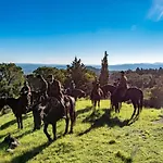 Essenziale 3*