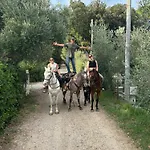 Essenziale Bed & Breakfast 3*