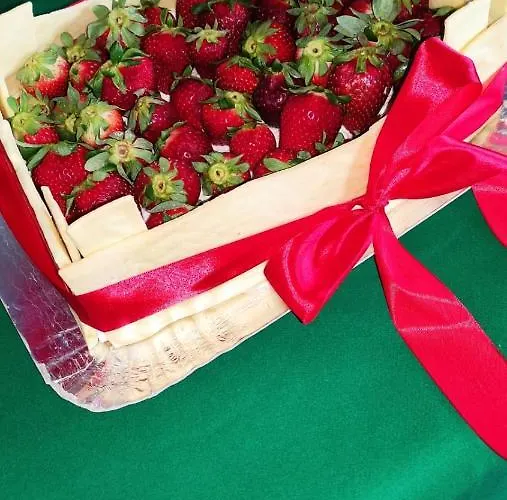 Essenziale Oda ve Kahvaltı Castell'Anselmo