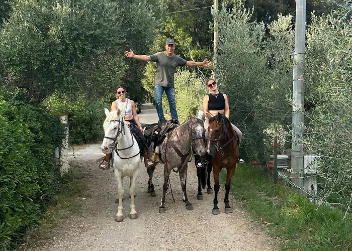 Essenziale Oda ve Kahvaltı 3*